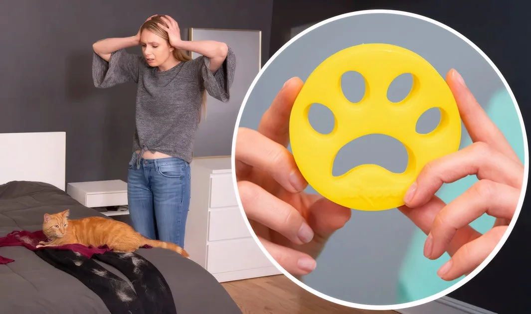 FurZapper